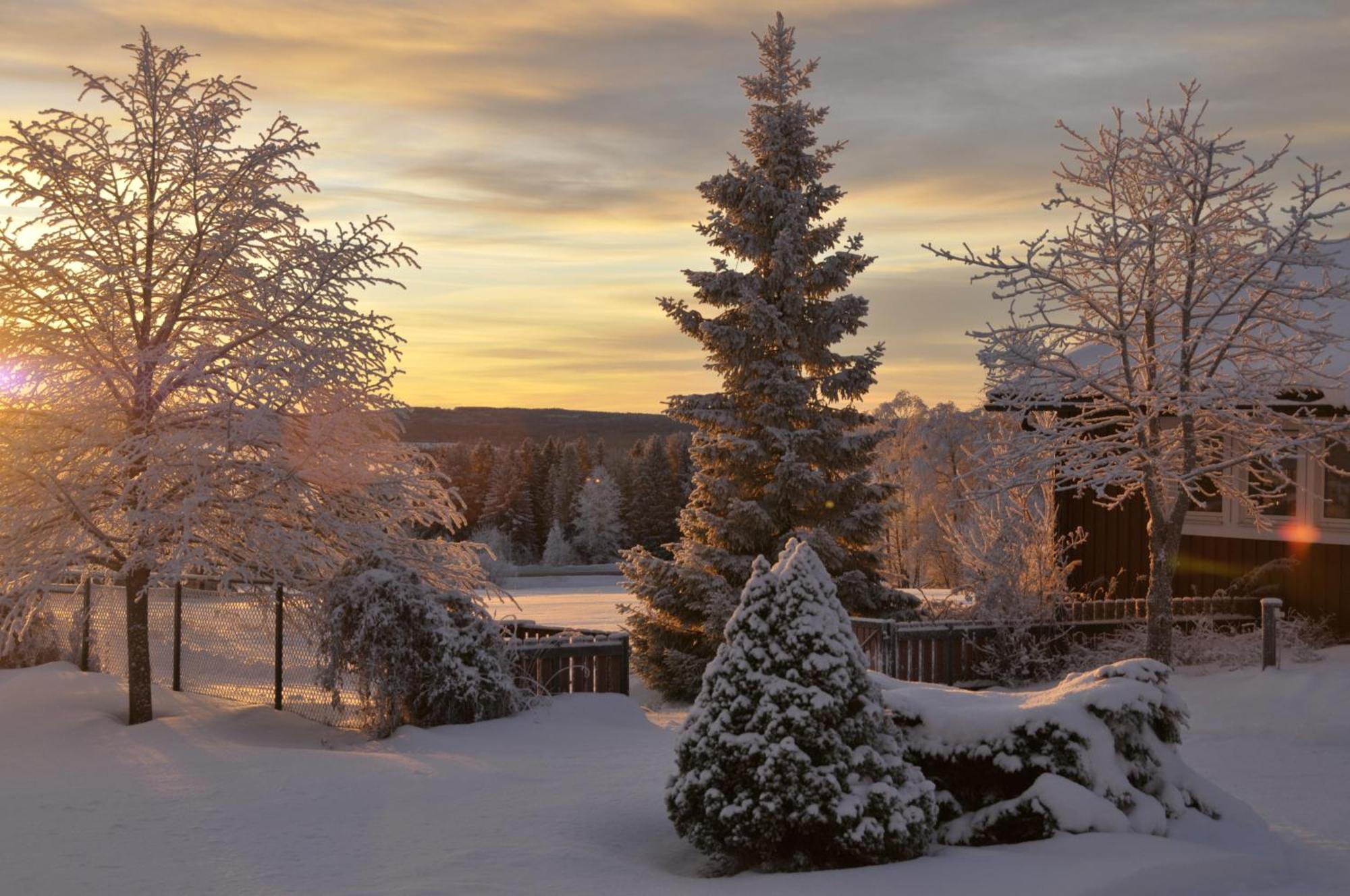 Langaenge Logi Bed and Breakfast Tandsbyn Buitenkant foto