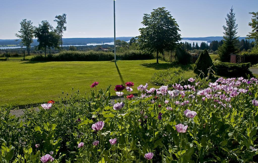Langaenge Logi Bed and Breakfast Tandsbyn Buitenkant foto