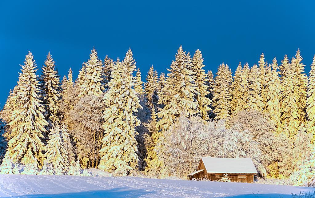 Langaenge Logi Bed and Breakfast Tandsbyn Buitenkant foto
